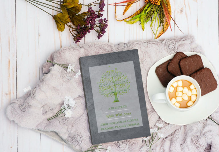 A Believer’s Walk With Jesus: Chronological Gospel Reading Plan & Journal: 12 Flexible Bible Reading Plans With Scripture Tracker For The Gospels 