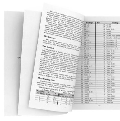 A Christian's Walk In Wisdom: 12 Flexible Bible Reading Plans & Journal For The Wisdom Books: With Scripture Tracker - Includes Psalms and Proverbs