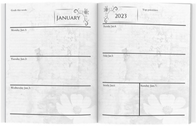 daily planning and appointments. Dedicated space for the week's goals and top priorities