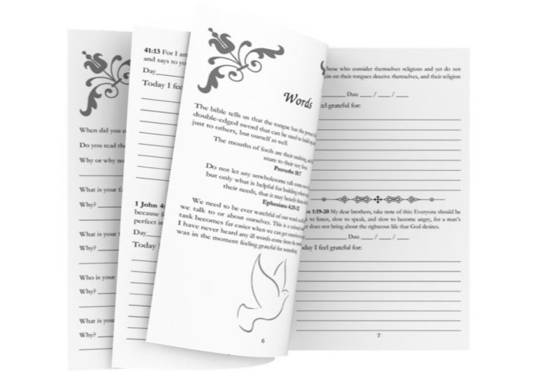 A Believer’s Gratitude Journal: With Inspirational Quotes From The Bible