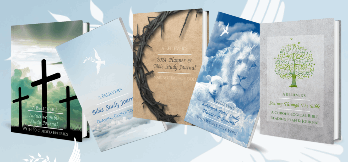 Bible Study Books Bible Study Tools in A Believer's Toolbox