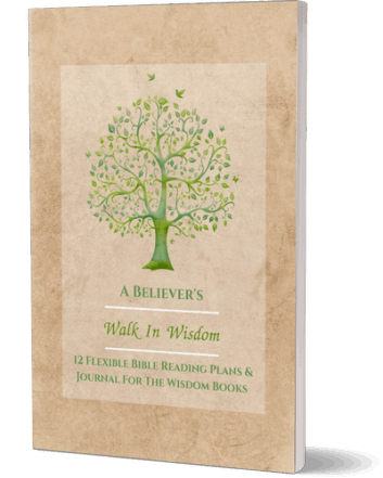 A Believer’s Walk In Wisdom: 12 Flexible Bible Reading Plans & Journal For The Wisdom Books: With Scripture Tracker - Includes Psalms and Proverbs