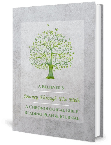 A Believer’s Journey Through The Bible: A Chronological Bible Reading Plan & Journal: 14 Flexible reading plans with Scripture tracker