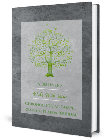 A Believer’s Walk With Jesus: Chronological Gospel Reading Plan & Journal: 12 Flexible Bible Reading Plans With Scripture Tracker For The Gospels 