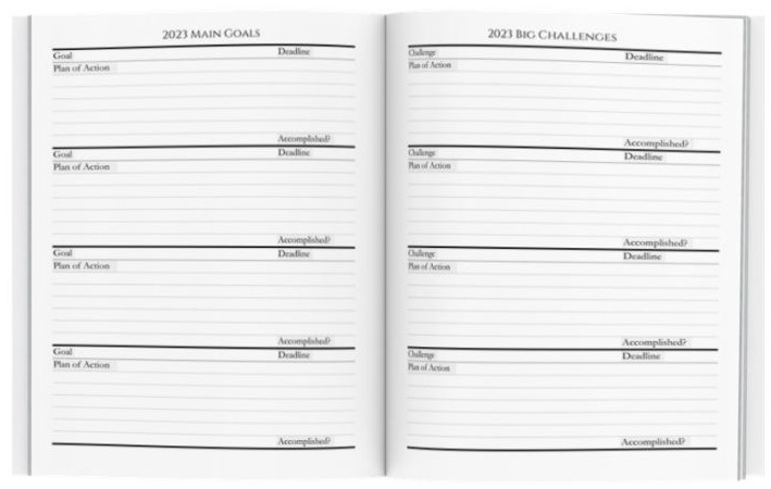 Plan this year's recovery goals and challenges