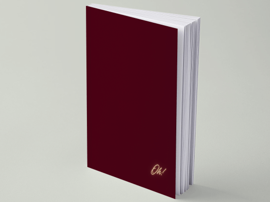 Oh! Discreet Password Book For Websites & Apps With 300 Entries